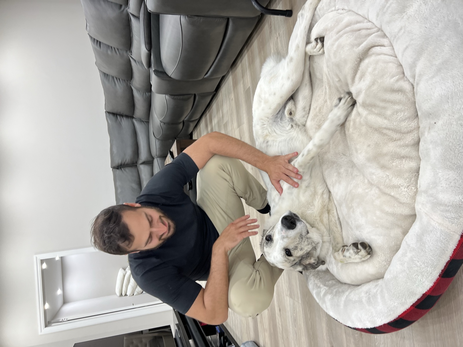 Foster family with their foster dog