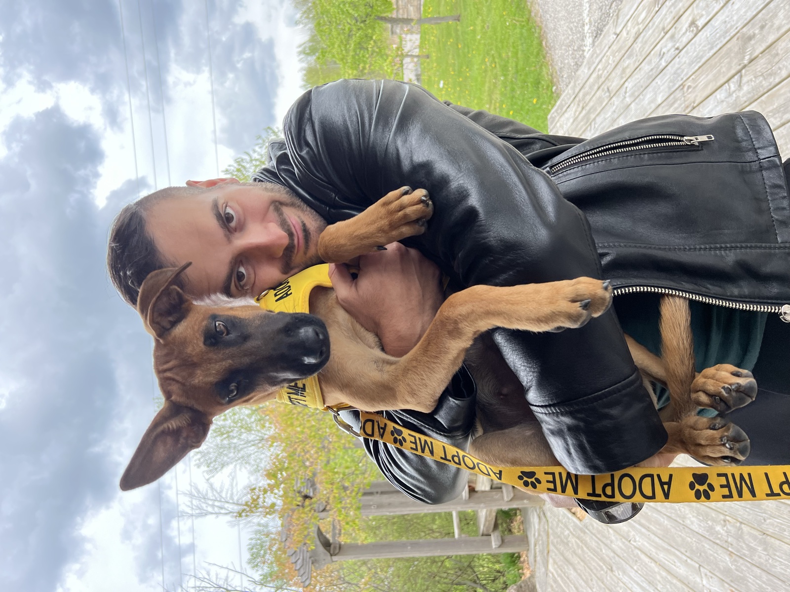 Foster family with their foster dog