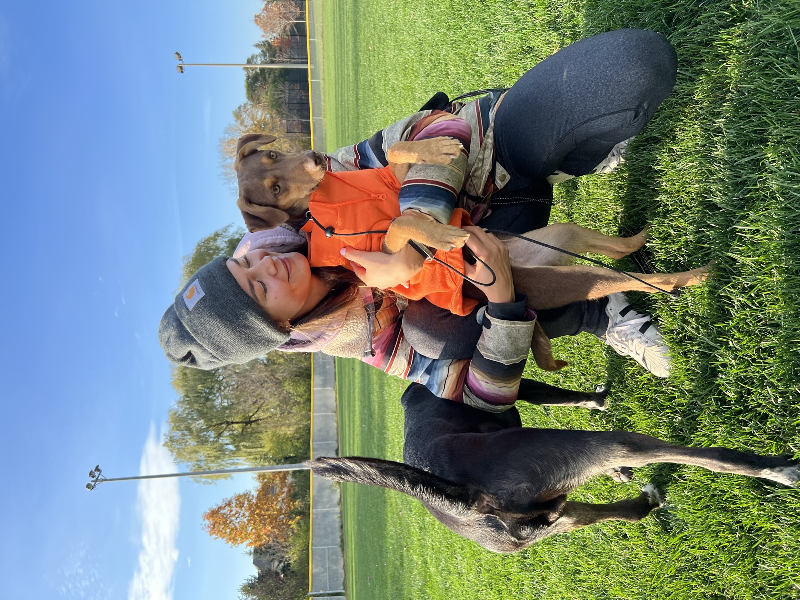 Foster family with their foster dog
