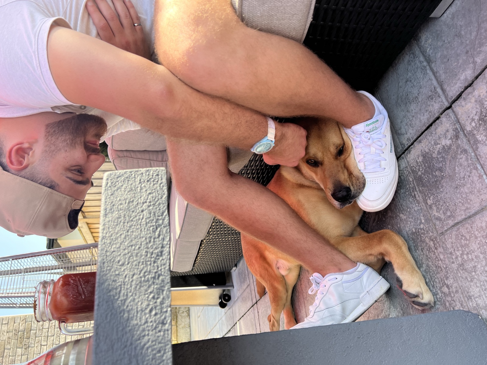 Foster family with their foster dog