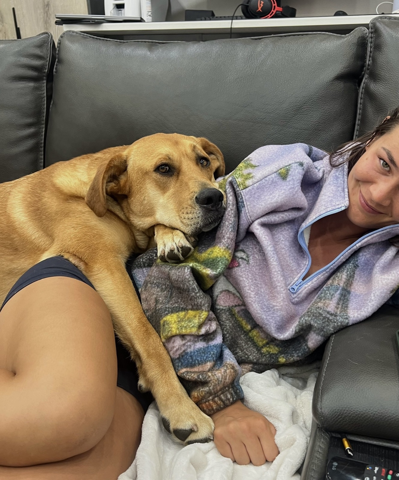 Foster family with their foster dog