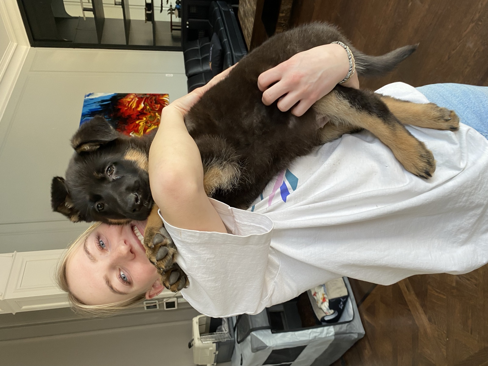 Foster family with their foster dog