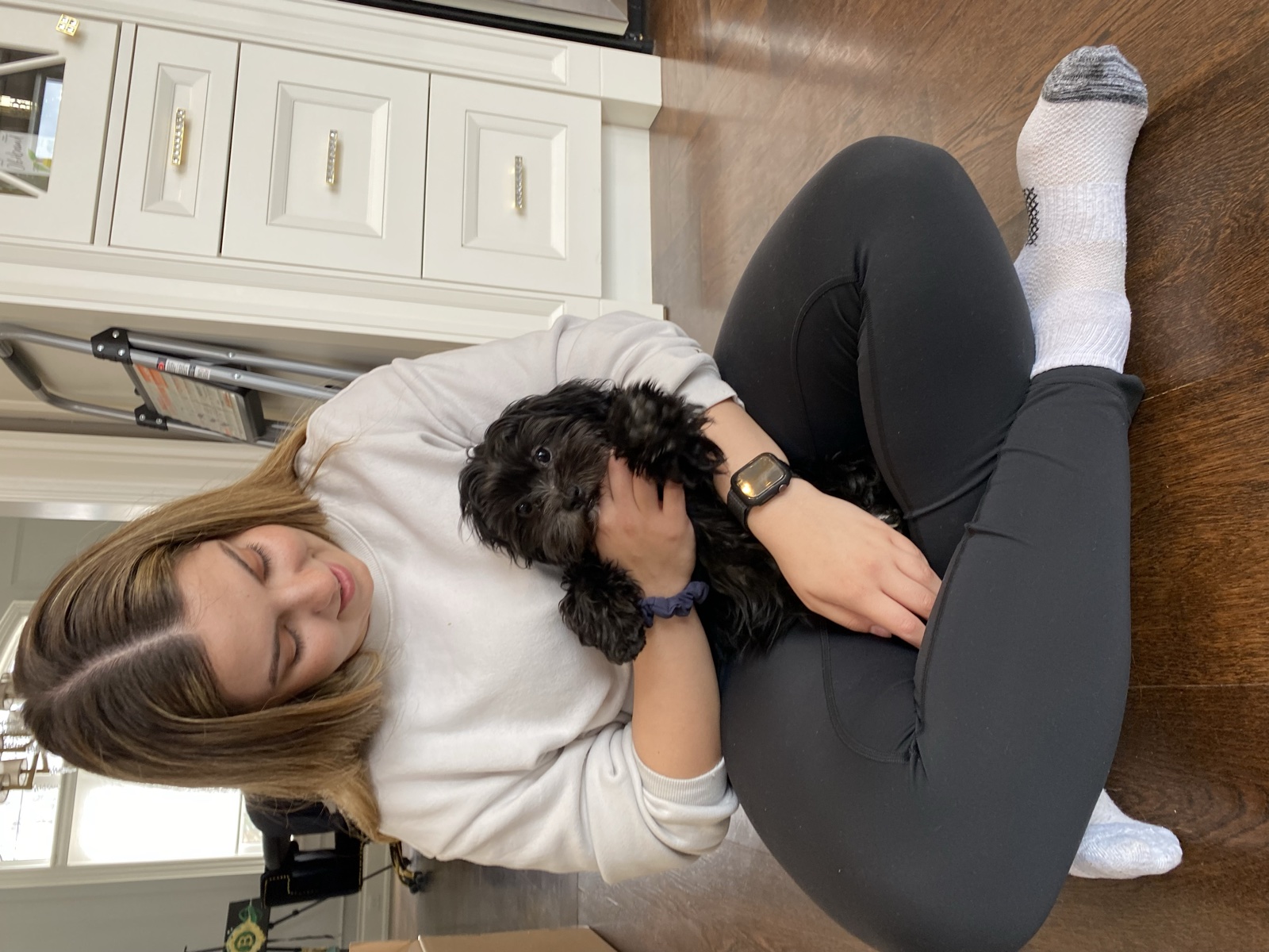 Foster family with their foster dog