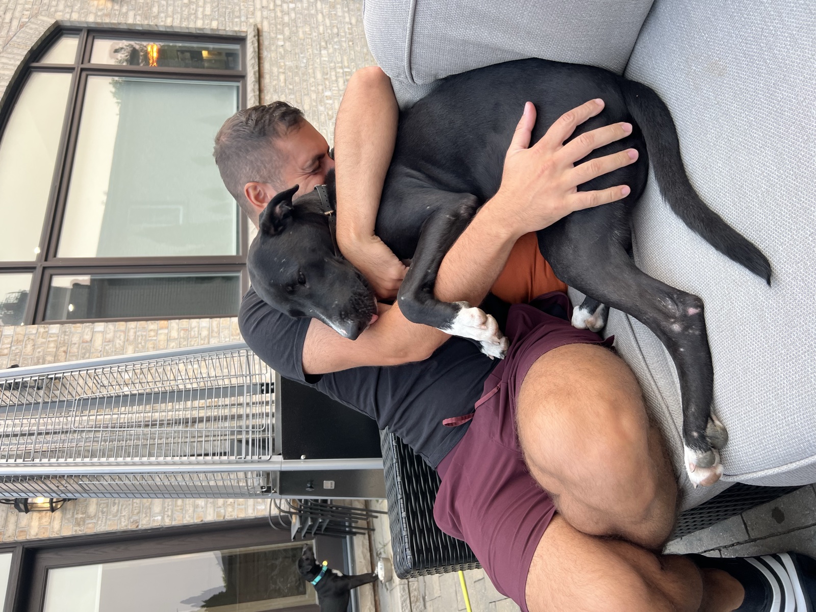 Foster family with their foster dog